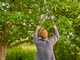 Gardena TeleCut Pro S - Coupe-branches Bypass T&eacute;lescopique - Longueur 52/67cm
