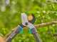 Gardena TeleCut Pro S - Coupe-branches Bypass T&eacute;lescopique - Longueur 52/67cm