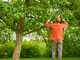 Gardena TeleCut Pro L - Coupe-branches Bypass T&eacute;lescopique - Longueur 65/90 cm