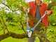 Gardena TeleCut Pro L - Coupe-branches Bypass T&eacute;lescopique - Longueur 65/90 cm