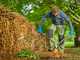 Gardena EnergyCut Pro L - Coupe-branches Bypass - Longueur 75 cm