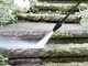 Karcher K7 Power Flex Home - Nettoyeur haute pression &agrave; eau froide - 180 bar - 600 l/h