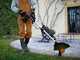 Worx WG173E - Coupe-bordure &agrave; batterie 3 en 1 - 20V 4Ah