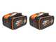 Worx Nitro WG185E - D&eacute;broussailleuse &agrave; batterie 40V 2x20V/4Ah + 2 batteries 20V/4Ah offertes