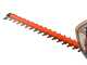 Worx WG918E - Kit Taille-haie + Coupe-bordure &agrave; batterie - 20/2Ah
