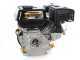 Broyeur thermique AgriEuro Premium Line - avec moteur &agrave; essence 6 CV - broyeur