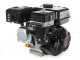 Broyeur thermique AgriEuro Premium Line - avec moteur &agrave; essence 6 CV - broyeur