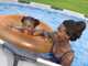 Bestway Steel Pro Max 56416 - &Oslash;366x76 cm - Piscine ronde pour 5-6 personnes