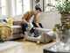 Karcher VC 4 sans fil myHome PET - Balai &eacute;lectrique - 21,6 V - 2,5 Ah