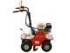 Benassi L300 - D&eacute;plaqueuse de gazon tract&eacute;e - Honda GX160 - 5.5 CV