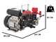 Annovi Reverberi AR 252 EM - Motopompe &eacute;lectrique pour pulv&eacute;risation