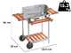 Ompagrill 60-40/Pro/C - Barbecue &agrave; charbon