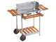 Ompagrill 60-40/Pro/C - Barbecue &agrave; charbon