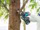 Makita DUC101ZJ LXT - &Eacute;lagueuse sur batterie - 18 V - SANS BATTERIE NI CHARGEUR