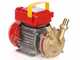 Rover BE-M 25 IP 55 - Pompe &eacute;lectrique de transfert en bronze avec protection IP55 - Monophas&eacute;e - 230 V