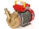 Rover BE-M 30 - Pompe &eacute;lectrique de transfert en bronze - Monophas&eacute;e - 230 V