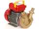 Rover BE-M 30 - Pompe &eacute;lectrique de transfert en bronze - Monophas&eacute;e - 230 V