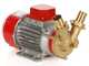 Rover Marina 30 - Pompe &eacute;lectrique de transfert en bronze - 24 V