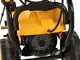 Nettoyeur haute pression DeWalt DXPW 005E- Triphas&eacute; de 200 bars max- 810L/H d&eacute;bit Max