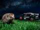 Worx Landroid Vision Cloud WR344E - Robot tondeuse 4WD - Sans installation - Abri offert !