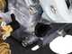 LWD 11/200 - Nettoyeur haute pression thermique professionnel - 205 bars 678 L/h - Pompe Comet LWD - Moteur Honda GX 200