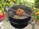 Tournebroche pour barbecue &agrave; charbon Weber 57 cm