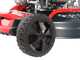 Al-Ko Easy 5.16 SP-D - Tondeuse &agrave; gazon thermique tract&eacute;e - 4 en 1 - Moteur AL-KO Tech 7500 de 171 cm&sup3;