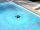 Dreame J1 &ndash; Robot nettoyeur de surfaces de piscine &agrave; batterie - Gestion par App