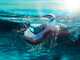 Aiper Scuba SE - Robot nettoyeur &agrave; batterie