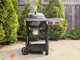 Weber Performer Smart - Barbecue &agrave; charbon - Grille de 57 cm