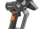 Worx WG327E - &Eacute;lagueuse sur batterie + perche de rallonge de 125 cm - 20 V 2 Ah