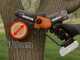 Worx WG326E.9 - &Eacute;lagueuse sur batterie - 20 V - SANS BATTERIE NI CHARGEUR