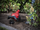 Skil 0690CA - Motobineuse &agrave; batterie 20 V / 2.5 Ah