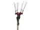 Castellari Vertigo Carbon L 18 V &ndash; Peigne vibreur 240/330 cm &agrave; batterie lithium-ion &ndash; Perche t&eacute;lescopique en carbone &ndash; SANS BATTERIE NI CHARGEUR