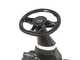 BlackStone RAVEN 66-750 CSM-V - Tracteur tondeuse mini-rider - Moteur de 224 cm&sup3;