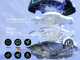 Wybot A1 - Robot nettoyeur de piscine sans fil