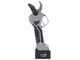 Blackstone GPX 32 - S&eacute;cateur &eacute;lectrique - 2 x 16.8 V 2 Ah - Diam&egrave;tre de coupe 32 mm