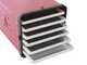 Tre Spade Atacama Pro F77000 - D&eacute;shydrateur alimentaire - 500 W