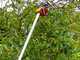 Wolf Garten RR 200 - Coupe-branches professionnel - Perche de rallonge de 200&nbsp;cm - &Oslash;&nbsp;32&nbsp;mm
