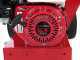 Broyeur de branches thermique Ceccato Tritone ONE - moteur Honda GX 200