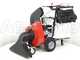 Benassi AF200SL - Aspirateur &agrave; feuilles thermique autotract&eacute; - Honda GX200