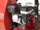 Benassi AF200SL - Aspirateur &agrave; feuilles thermique autotract&eacute; - Honda GX200