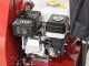 Benassi AF200SL - Aspirateur &agrave; feuilles thermique tract&eacute; - Honda GX200
