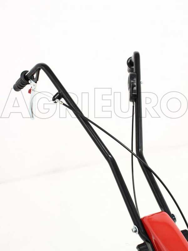 Eurosystems Z2 -Motobineuse &agrave; essence 3,5 CV -  Moteur Briggs&amp;Stratton 450