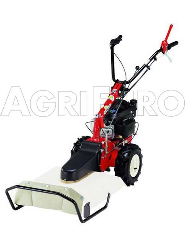 Eurosystems P55 - Motofaucheuse rotative multifonction - Loncin 196cm3