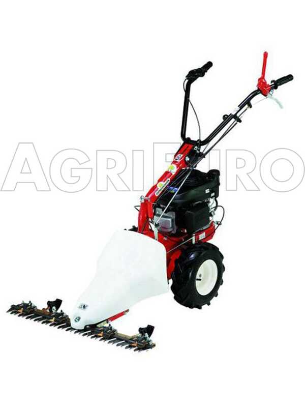Eurosystems P55 - Motofaucheuse multifonction bilame  - Loncin 196 OHV