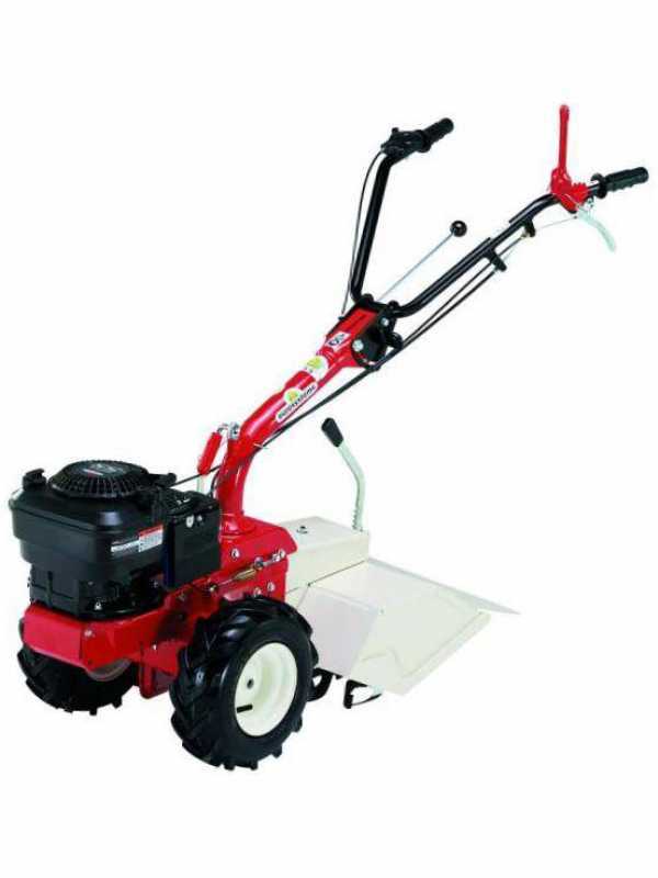Motoculteur Eurosystems P 55 avec moteur &agrave; essence Briggs&amp;Stratton 675