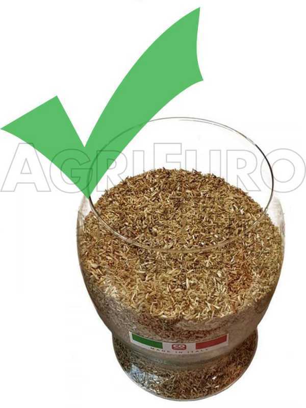 Ceccato Olindo Presse &agrave; pellets Monophas&eacute;e 3 CV - Fabrication de pellets pour le chauffage