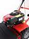 Blue Bird Alhambra Pro Speed - Motofaucheuse aveclame rotative - B&amp;S 850