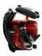 GeoTech BB 660 EVO - Souffleur de feuilles thermique &agrave; dos avec moteur 2 temps